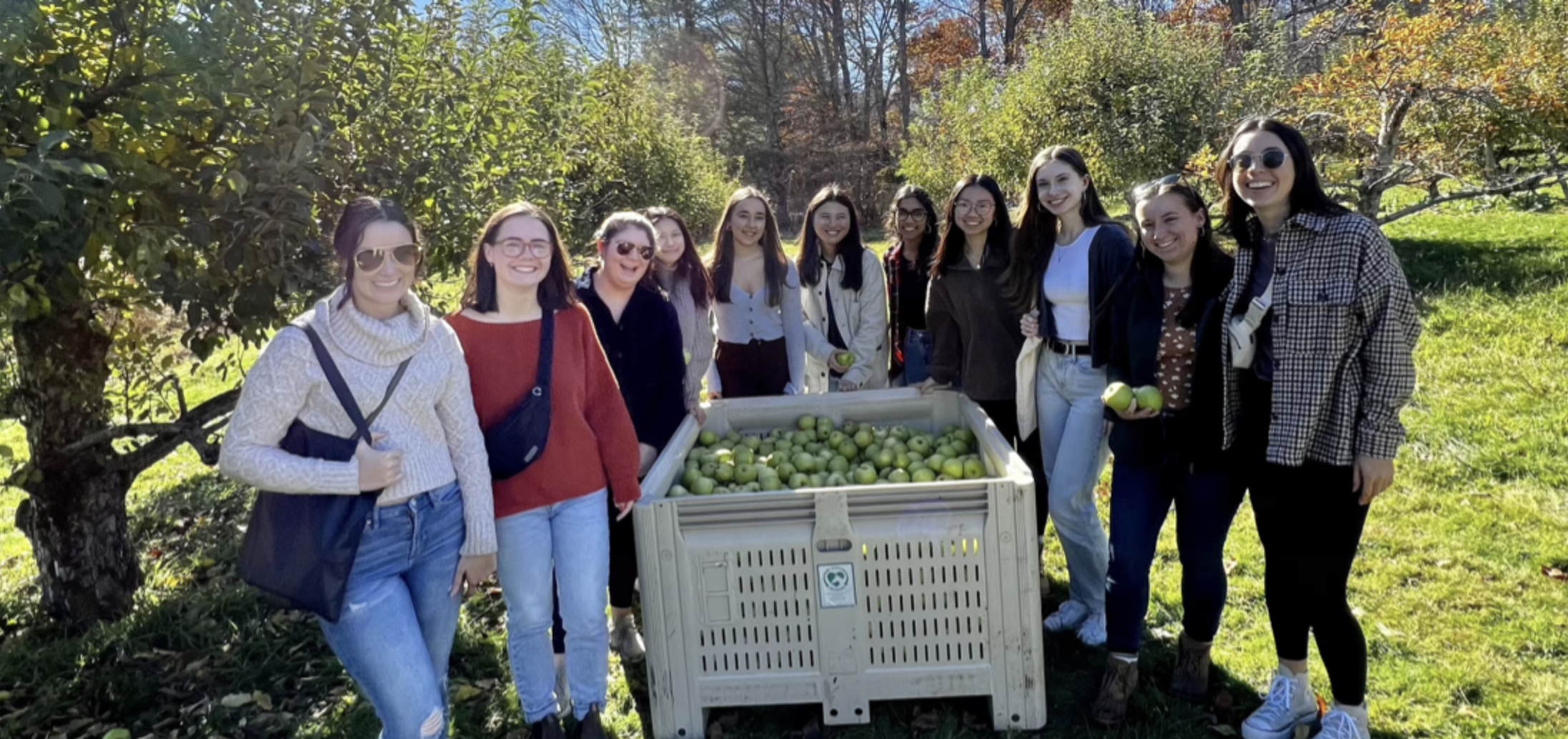 apple picking 2022